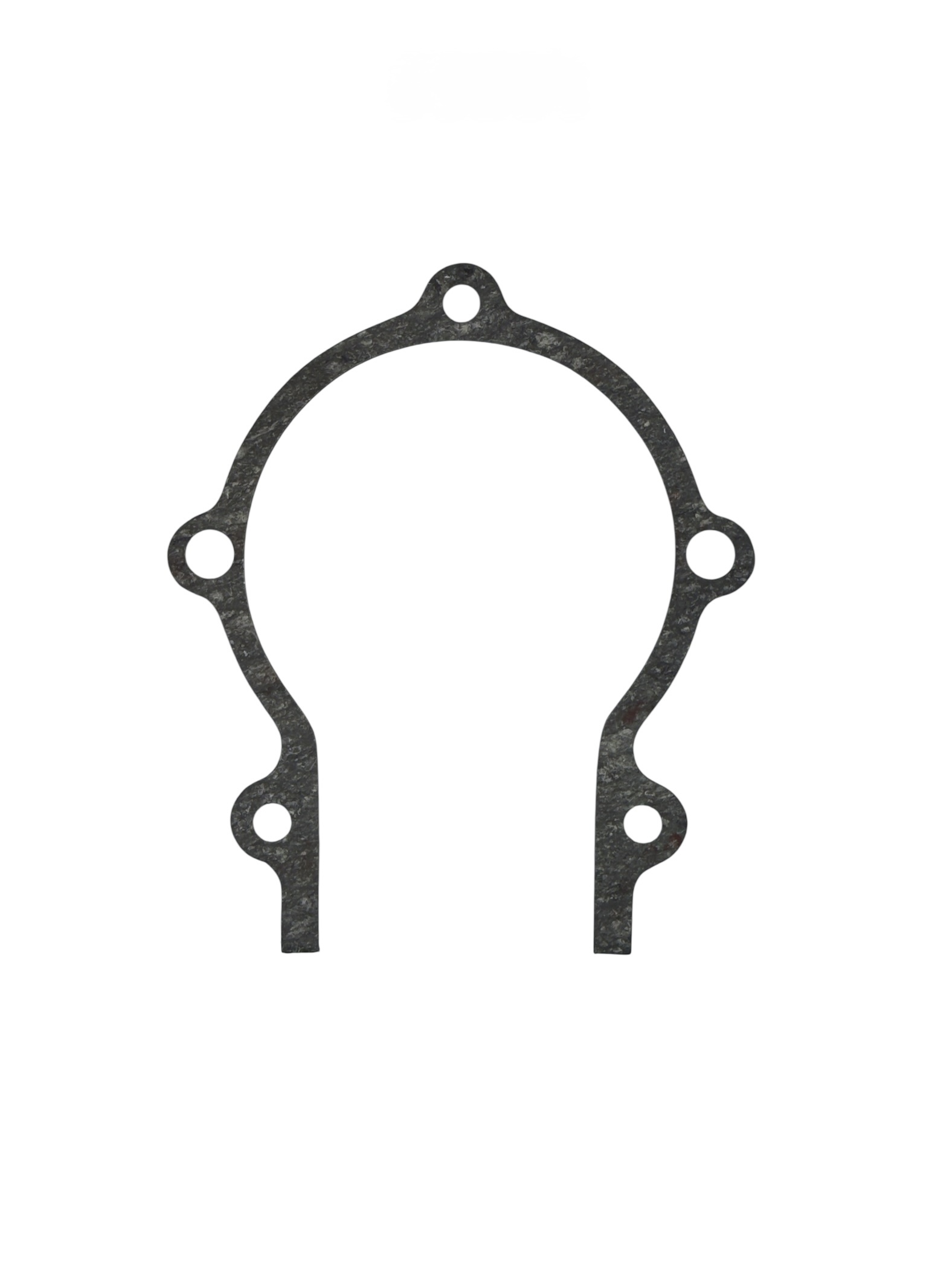 brtva kućišta radilice